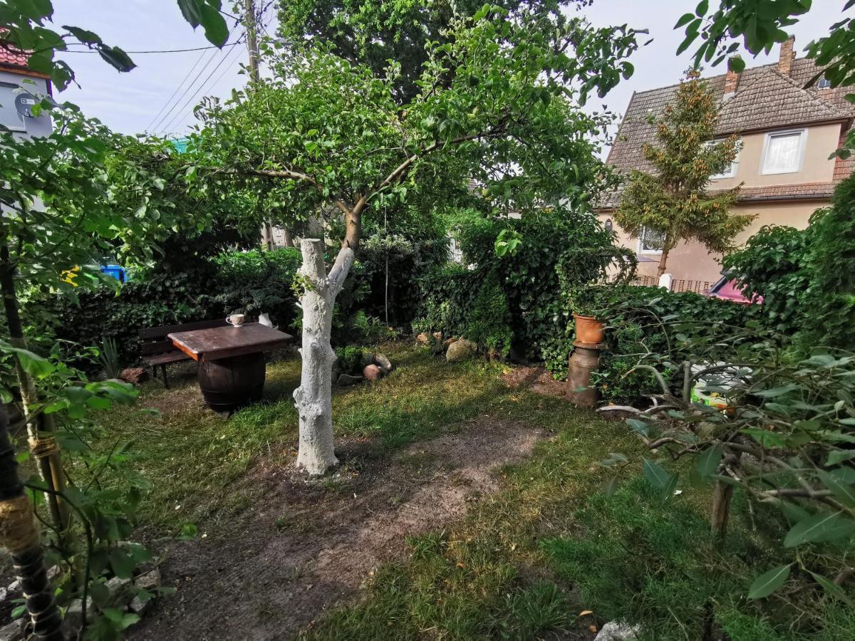 Kwatery U Zisi Miedzyzdroje Exterior foto